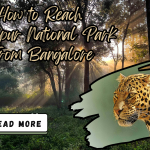 How to Reach Bandipur National Park from Bangalore | Travel Guide