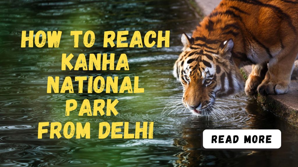 How to Reach Kanha National Park from Delhi