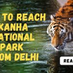 How to Reach Kanha National Park from Delhi
