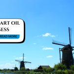 The oil industry is one of the most profitable sectors globally, offering various opportunities for entrepreneurs