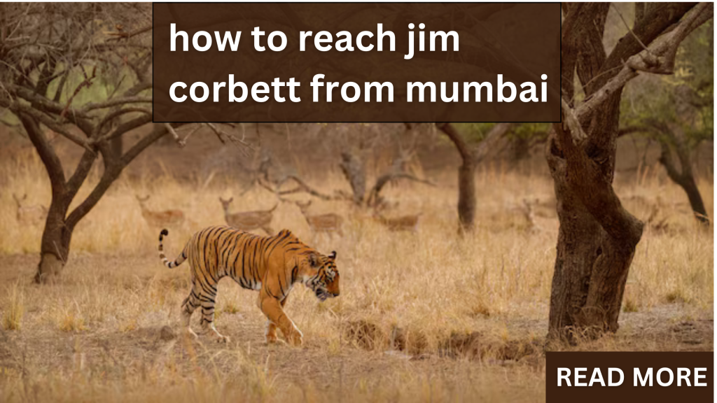Reach Jim Corbett from Mumbai