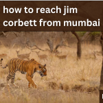 Reach Jim Corbett from Mumbai